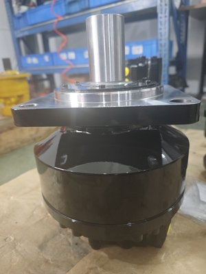 Torsione nominale 100-125 r/min Motore idraulico Peso di ferro fuso 30-110 kg
